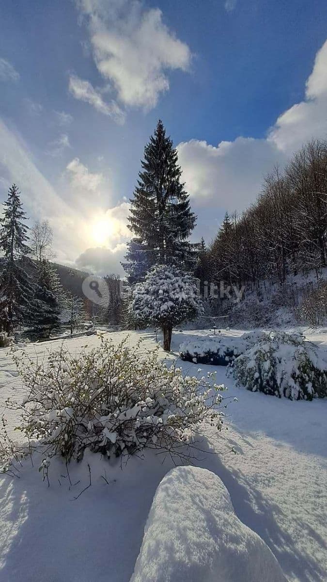 Pronájem chaty, chalupy, Loučná nad Desnou, Olomoucký kraj Pronájem chaty, chalupy, Loučná nad Desnou, Olomoucký kraj