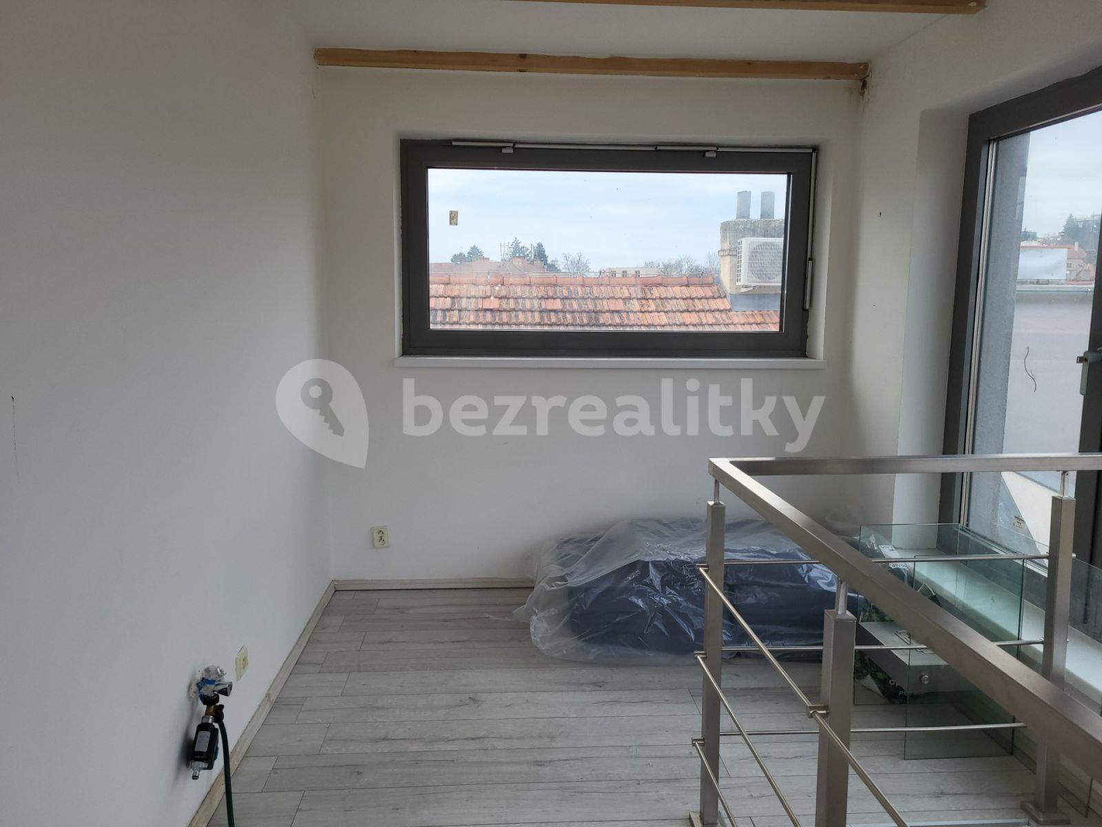 Pronájem bytu 4+kk 130 m², Údolní, Brno, Jihomoravský kraj