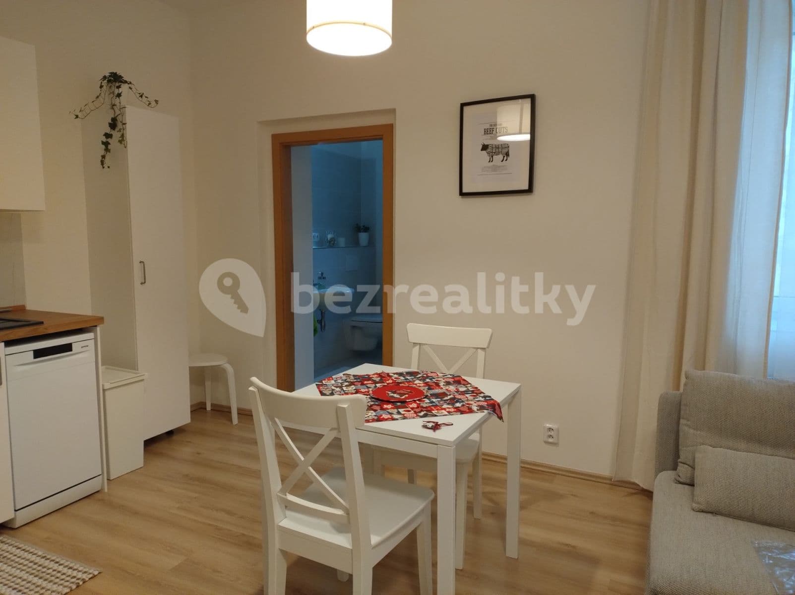 Pronájem bytu 2+kk 53 m², Hřímalého, Plzeň, Plzeňský kraj Pronájem bytu 2+kk 53 m², Hřímalého, Plzeň, Plzeňský kraj