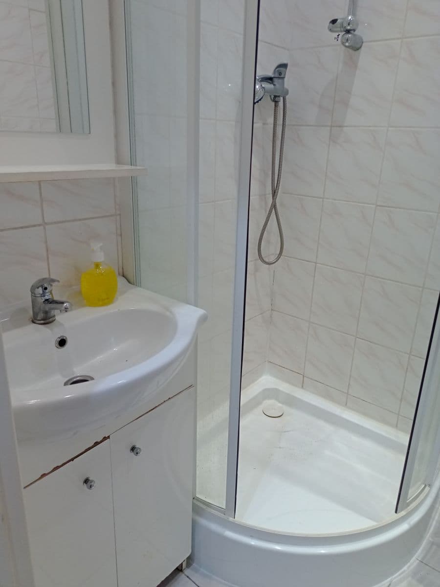 Pronájem bytu 1+1 32 m², Mládeže, Beroun, Středočeský kraj Pronájem bytu 1+1 32 m², Mládeže, Beroun, Středočeský kraj