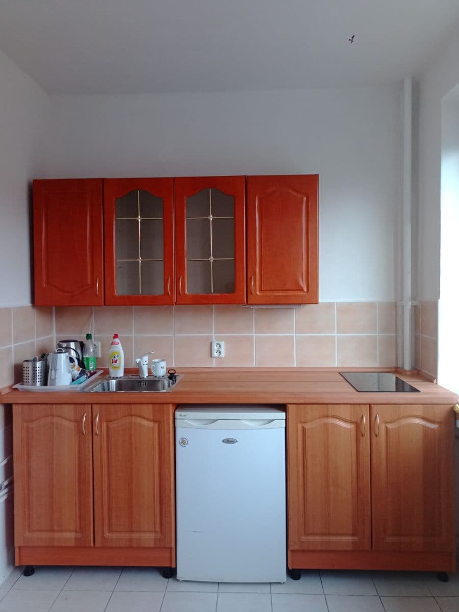 Pronájem bytu 1+1 32 m², Mládeže, Beroun, Středočeský kraj Pronájem bytu 1+1 32 m², Mládeže, Beroun, Středočeský kraj