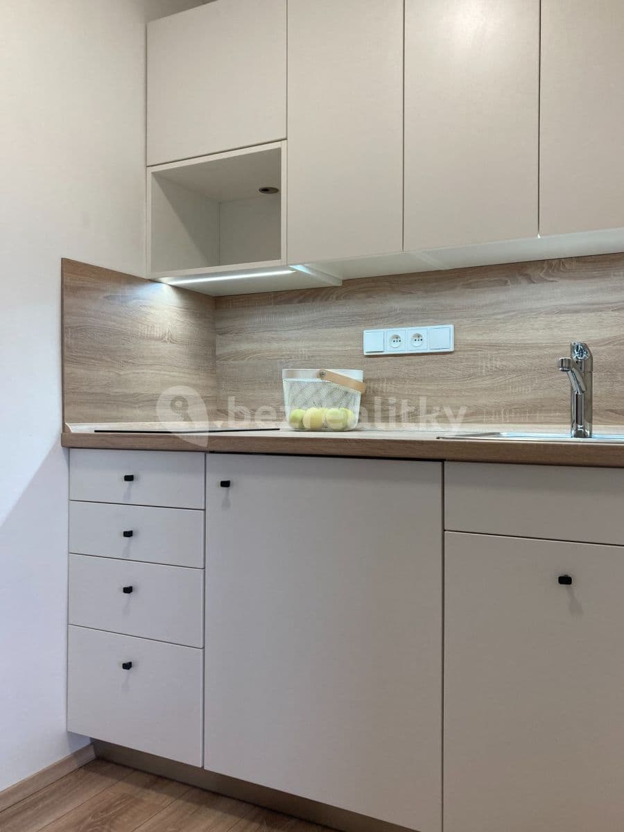 Pronájem bytu 1+kk 38 m², Žilkova, Brno, Jihomoravský kraj Pronájem bytu 1+kk 38 m², Žilkova, Brno, Jihomoravský kraj