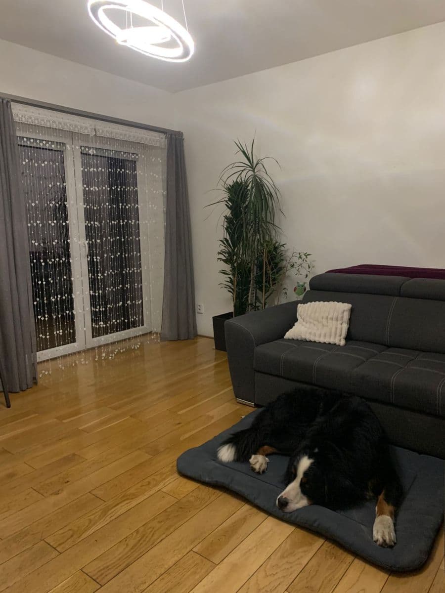 Prodej domu 100 m², pozemek 200 m², Hnojice, Olomoucký kraj Prodej domu 100 m², pozemek 200 m², Hnojice, Olomoucký kraj