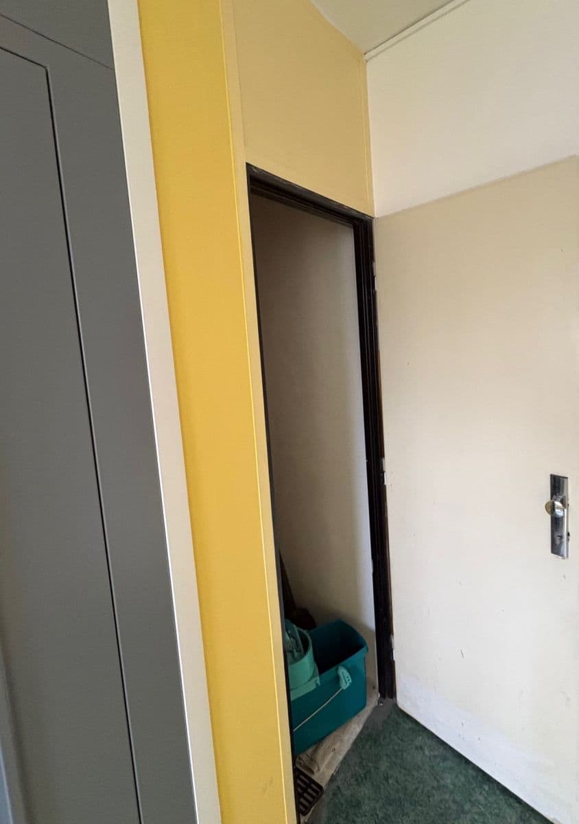 Pronájem bytu 3+kk 63 m², Kaplická, Praha, Praha Pronájem bytu 3+kk 63 m², Kaplická, Praha, Praha