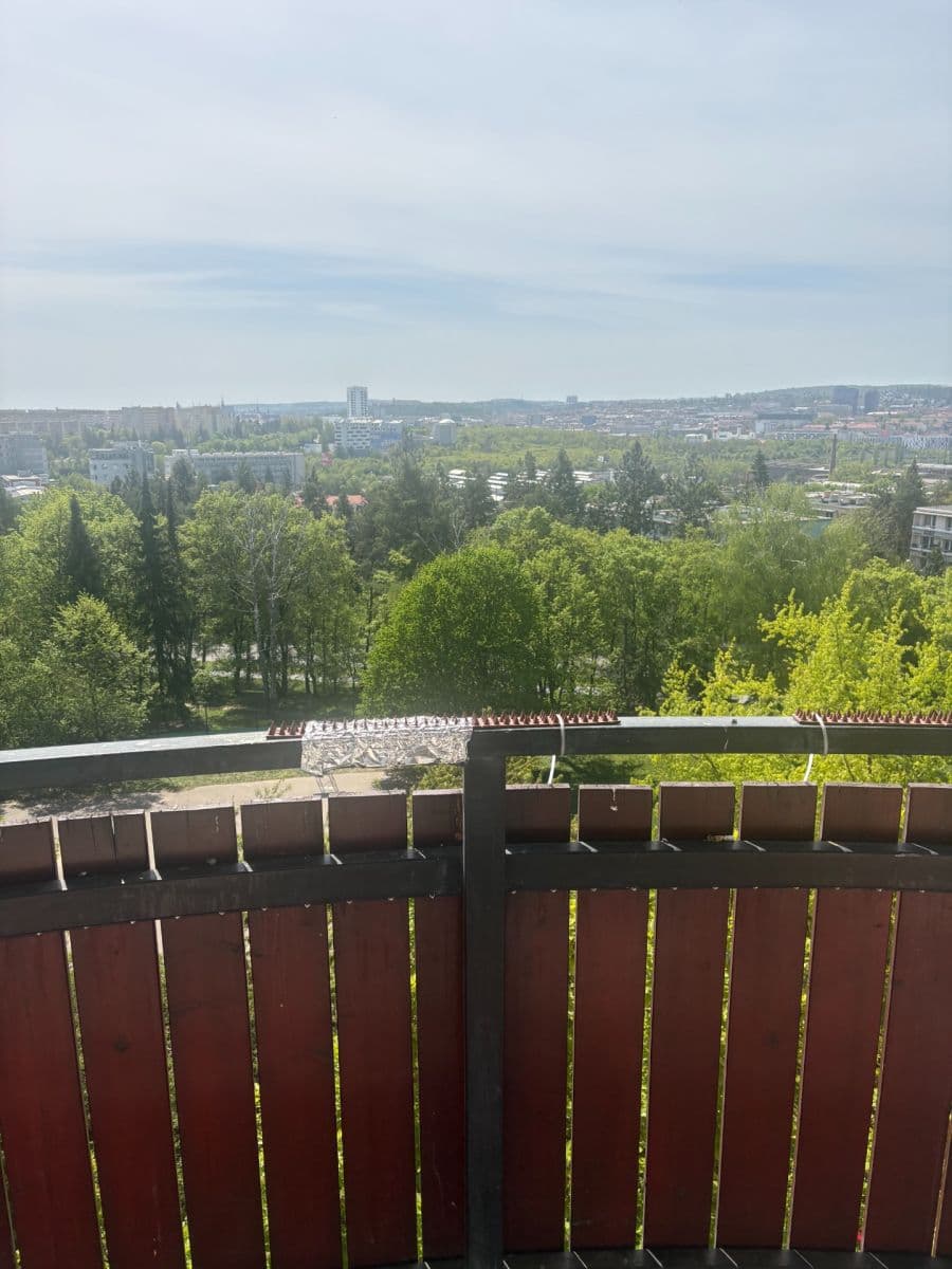 Pronájem bytu 1+1 38 m², Slavíčkova, Brno, Jihomoravský kraj Pronájem bytu 1+1 38 m², Slavíčkova, Brno, Jihomoravský kraj