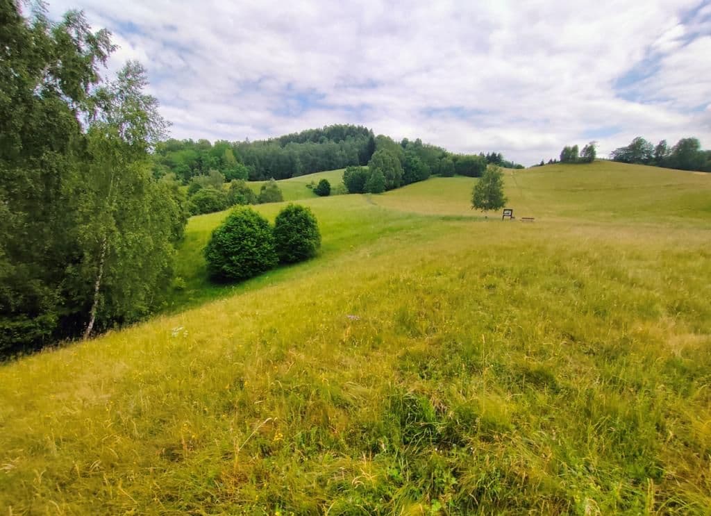 Prodej pozemku 2.377 m², Pustinská, Desná, Liberecký kraj Prodej pozemku 2.377 m², Pustinská, Desná, Liberecký kraj
