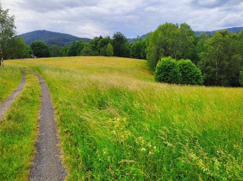 Prodej pozemku 2.377 m², Pustinská, Desná, Liberecký kraj Prodej pozemku 2.377 m², Pustinská, Desná, Liberecký kraj