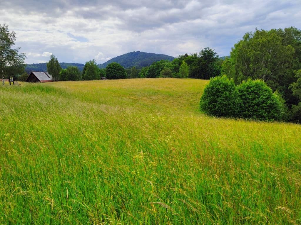 Prodej pozemku 2.377 m², Pustinská, Desná, Liberecký kraj Prodej pozemku 2.377 m², Pustinská, Desná, Liberecký kraj