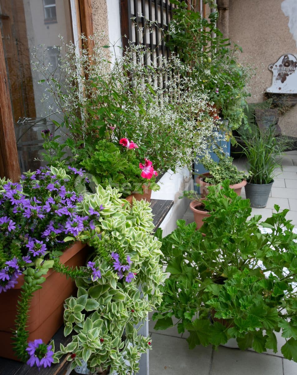 Pronájem bytu 2+1 71 m², Letohradská, Praha, Praha Pronájem bytu 2+1 71 m², Letohradská, Praha, Praha