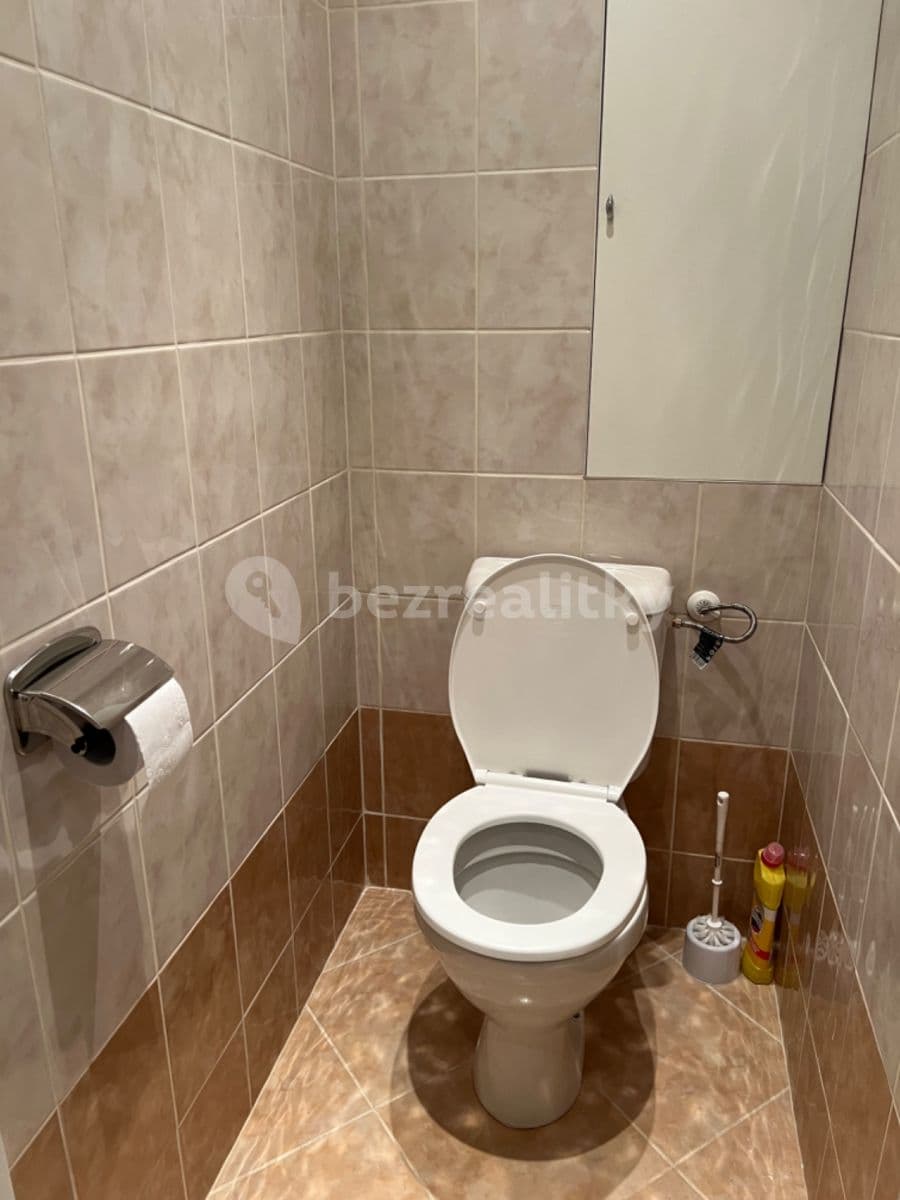 Pronájem bytu 1+1 38 m², Luční, Brno, Jihomoravský kraj Pronájem bytu 1+1 38 m², Luční, Brno, Jihomoravský kraj