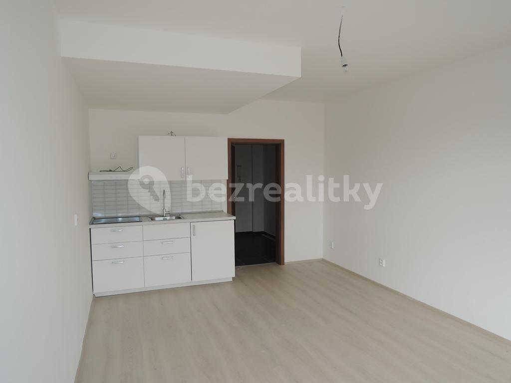 Pronájem bytu 1+kk 32 m², Pastviny, Brno, Jihomoravský kraj