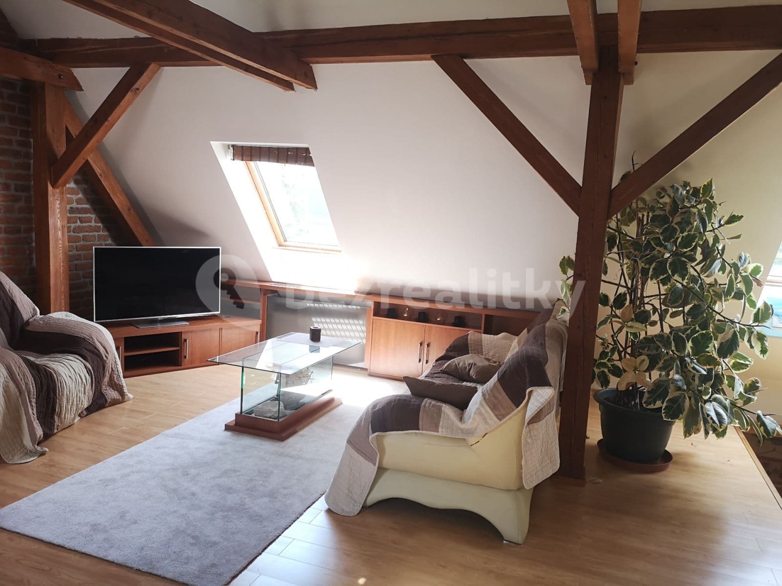 Pronájem bytu 3+kk 150 m², Samota, Olomouc, Olomoucký kraj Pronájem bytu 3+kk 150 m², Samota, Olomouc, Olomoucký kraj