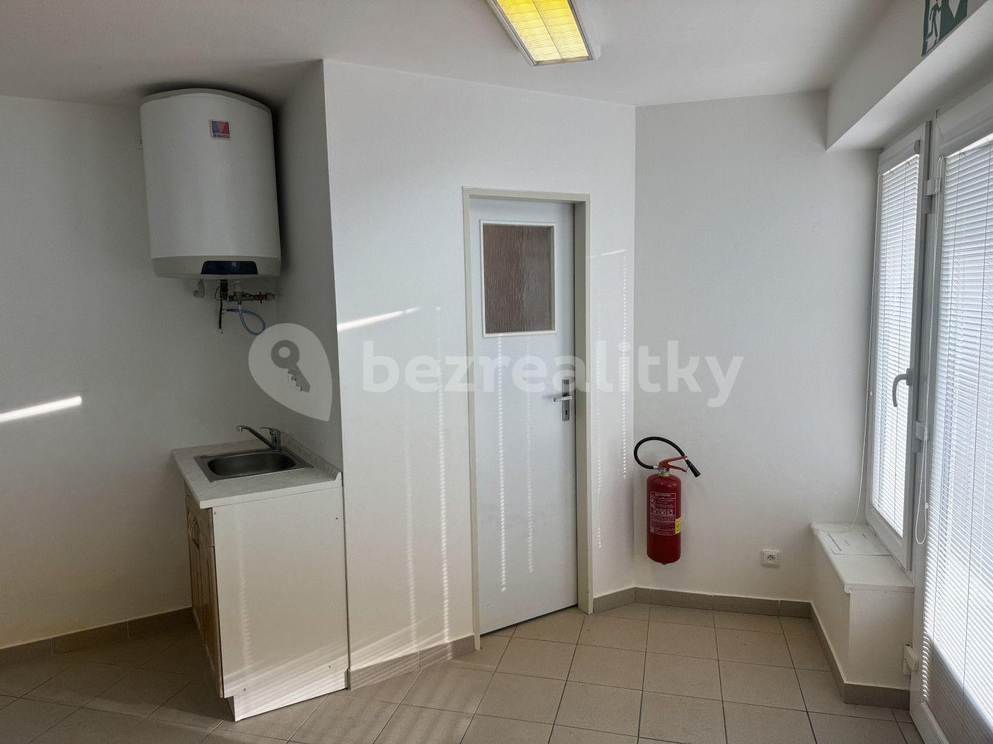 Prodej nebytového prostoru 920 m², Volmanova, Čelákovice, Středočeský kraj