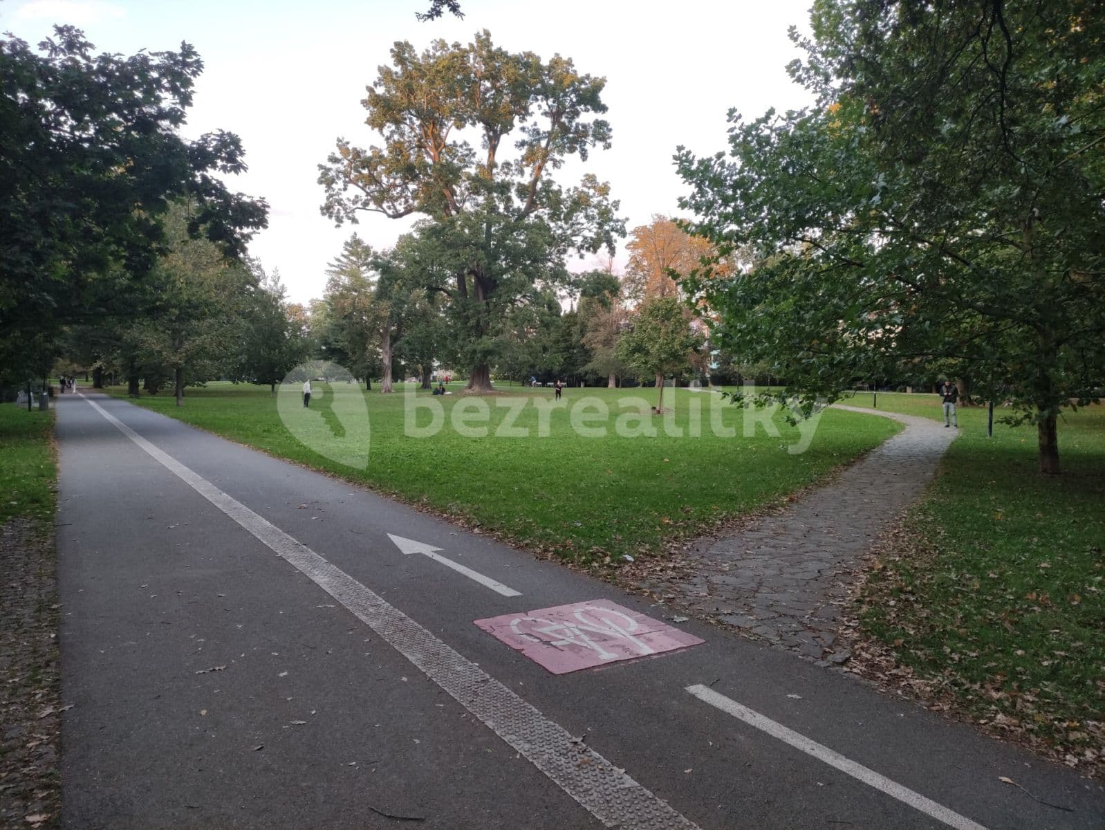 Pronájem bytu 1+kk 30 m², Edmunda Husserla, Olomouc, Olomoucký kraj Pronájem bytu 1+kk 30 m², Edmunda Husserla, Olomouc, Olomoucký kraj