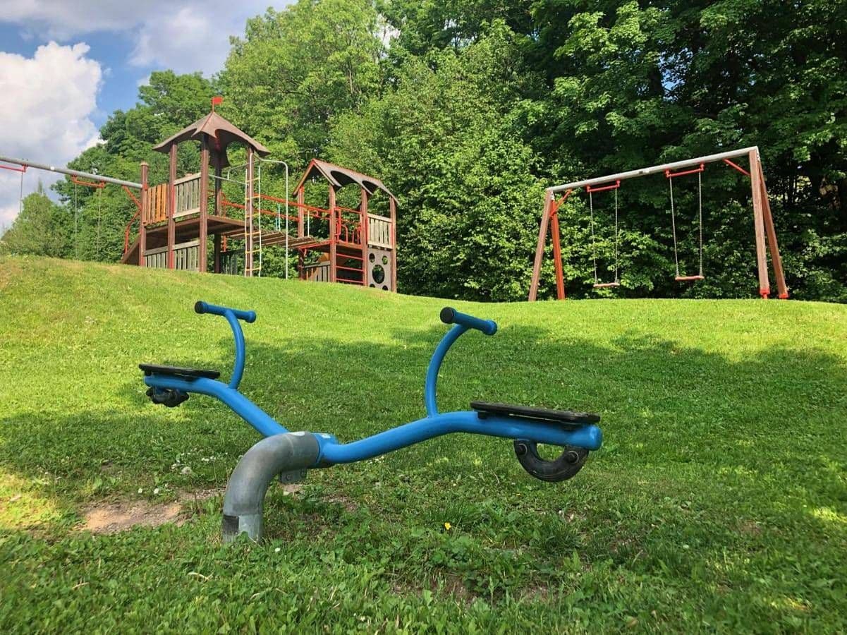 Pronájem chaty, chalupy, Černý Důl, Královéhradecký kraj Pronájem chaty, chalupy, Černý Důl, Královéhradecký kraj