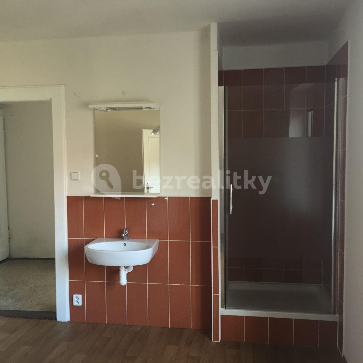 Prodej bytu 1+1 43 m², Mlýnská, Liberec, Liberecký kraj