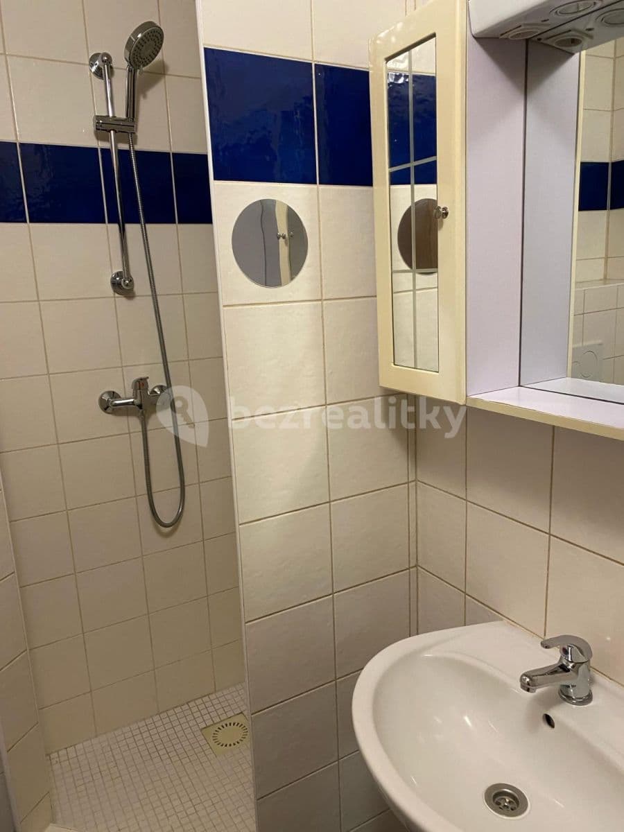 Pronájem bytu 1+kk 45 m², U Strže, Praha, Praha Pronájem bytu 1+kk 45 m², U Strže, Praha, Praha