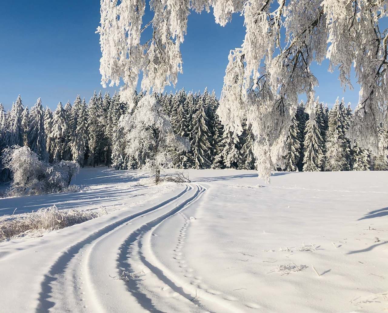 Pronájem chaty, chalupy, Prachatice, Jihočeský kraj Pronájem chaty, chalupy, Prachatice, Jihočeský kraj