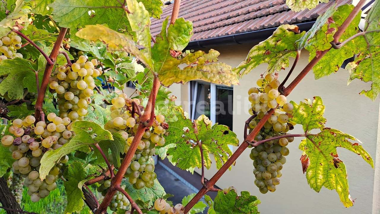 Pronájem chaty, chalupy, Hlohovec, Jihomoravský kraj Pronájem chaty, chalupy, Hlohovec, Jihomoravský kraj