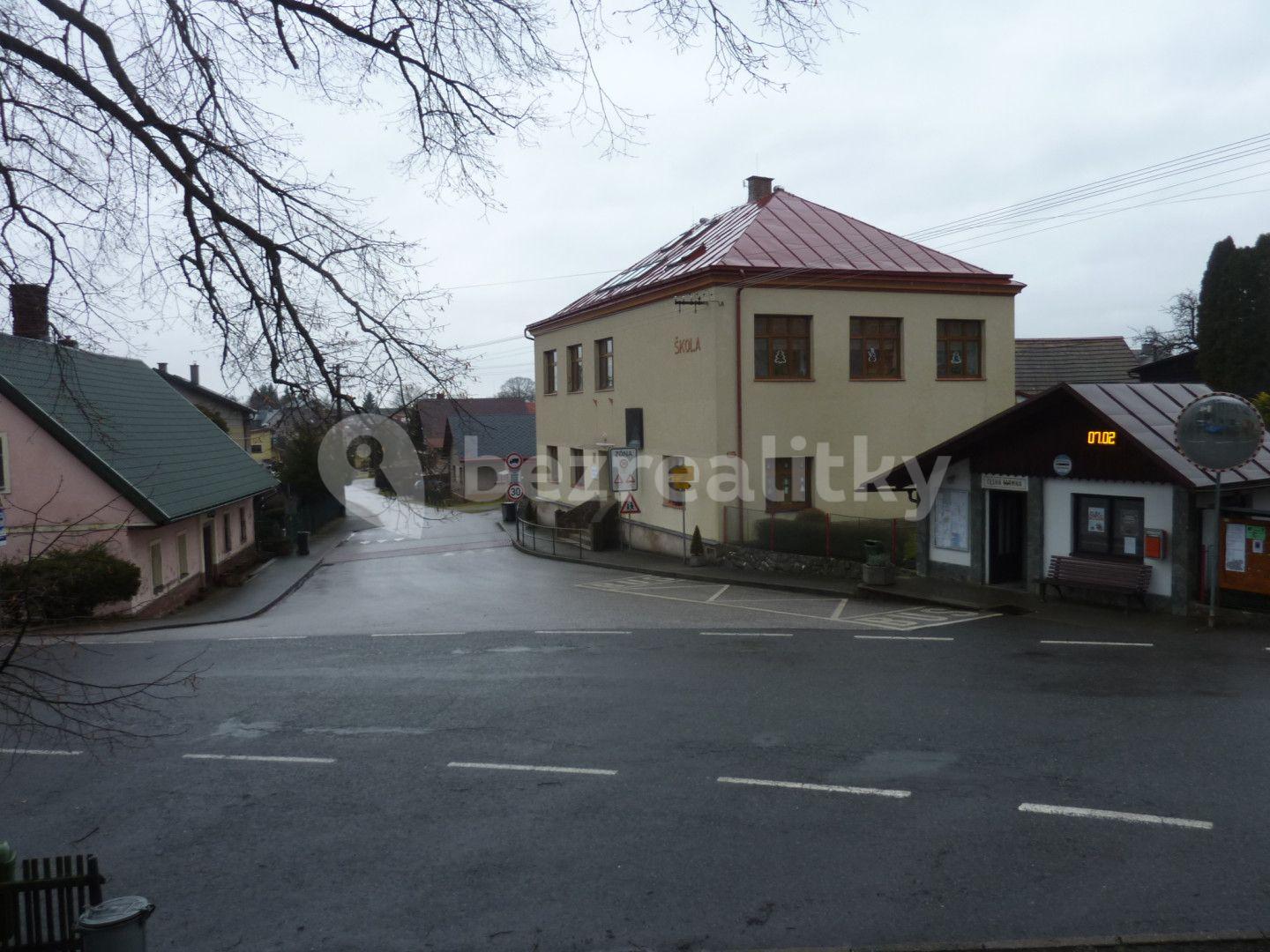 Prodej domu 590 m², pozemek 289 m², Česká Čermná, Královéhradecký kraj