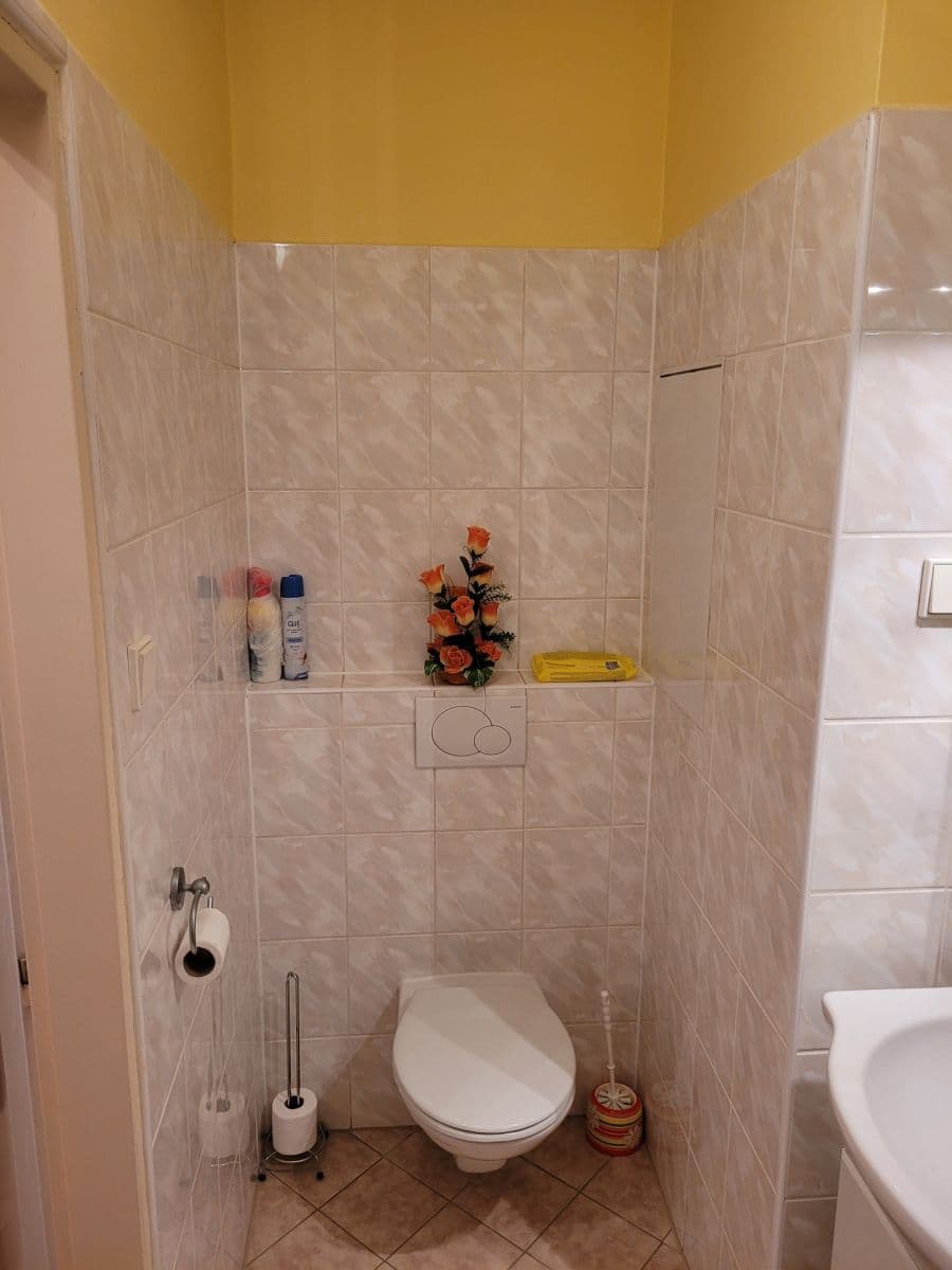 Pronájem bytu 2+1 50 m², Zelenečská, Praha, Praha Pronájem bytu 2+1 50 m², Zelenečská, Praha, Praha