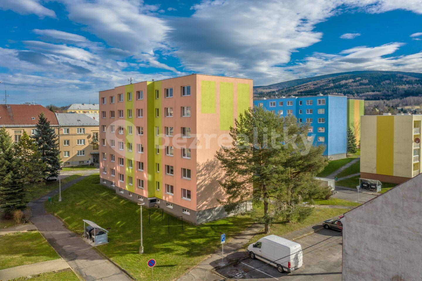 Prodej bytu 2+1 57 m², Nádražní, Nové Město pod Smrkem, Liberecký kraj