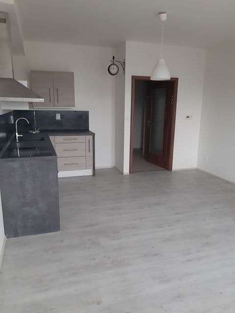 Pronájem bytu 1+kk 36 m², Pod Vinicí, Pardubice, Pardubický kraj Pronájem bytu 1+kk 36 m², Pod Vinicí, Pardubice, Pardubický kraj