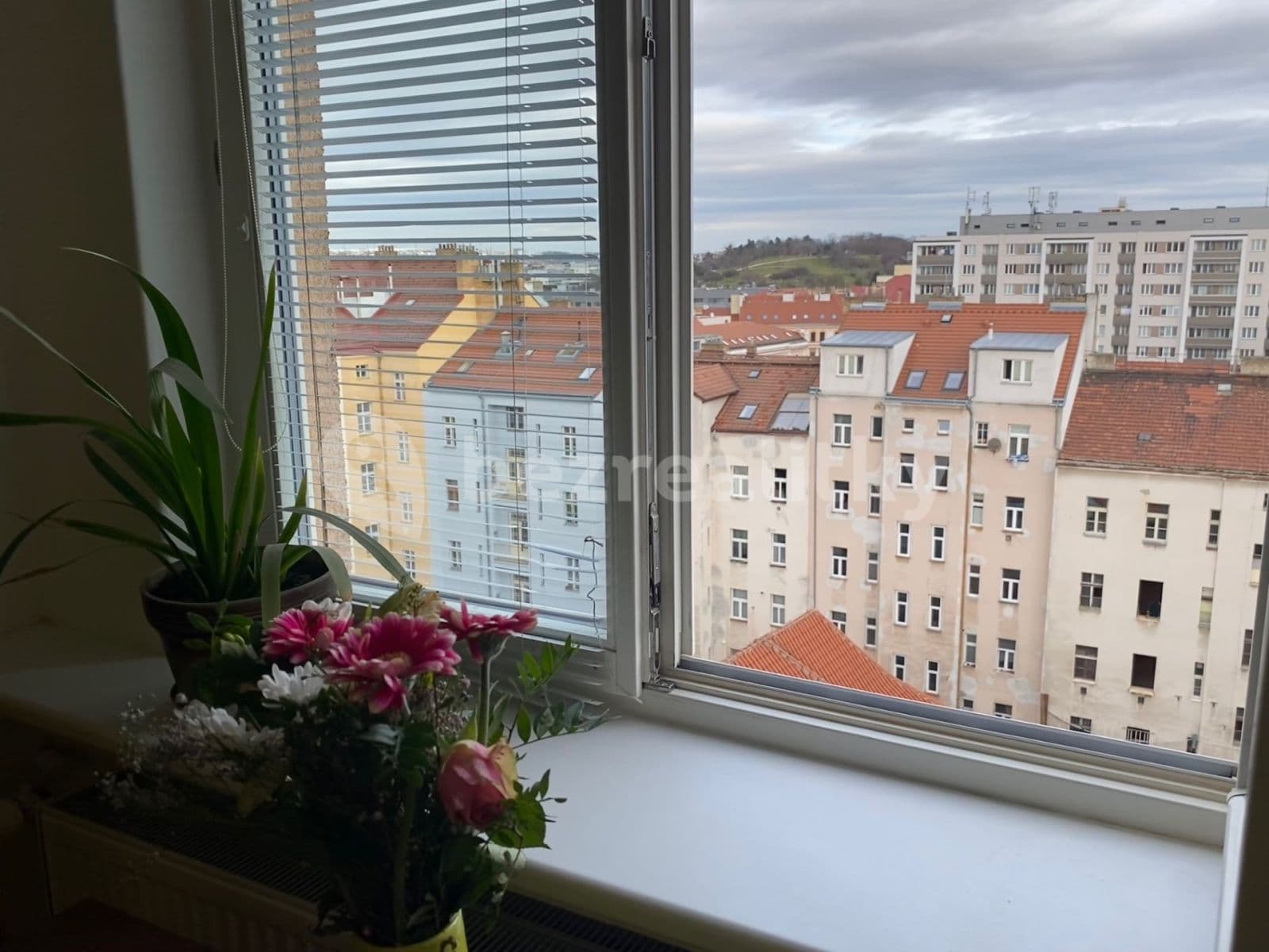 Pronájem bytu 2+1 54 m², Čajkovského, Praha, Praha Pronájem bytu 2+1 54 m², Čajkovského, Praha, Praha