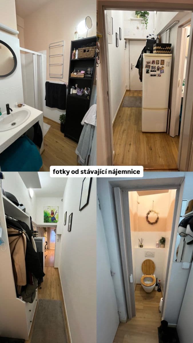 Pronájem bytu 1+kk 30 m², Biskupcova, Praha, Praha Pronájem bytu 1+kk 30 m², Biskupcova, Praha, Praha