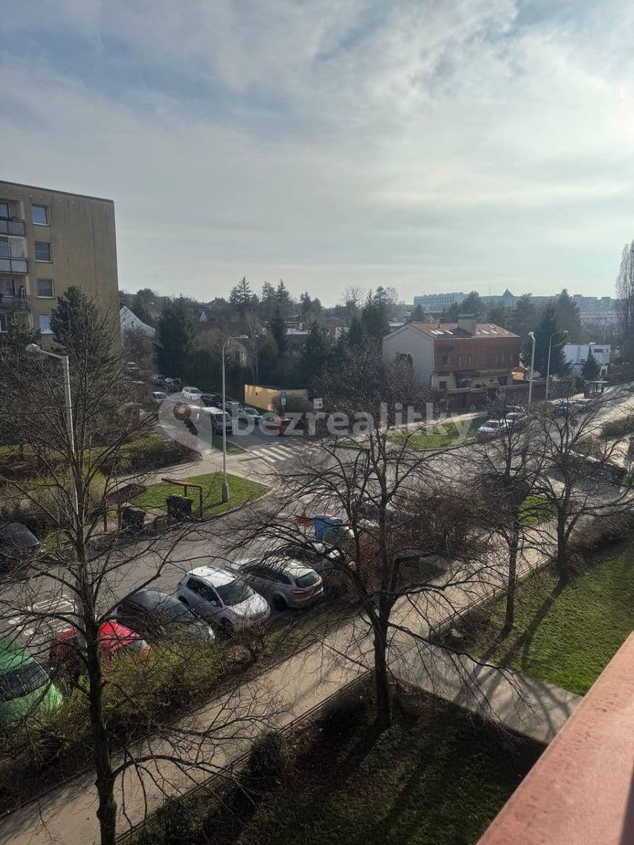 Pronájem bytu 1+kk 29 m², Voskovcova, Praha, Praha Pronájem bytu 1+kk 29 m², Voskovcova, Praha, Praha