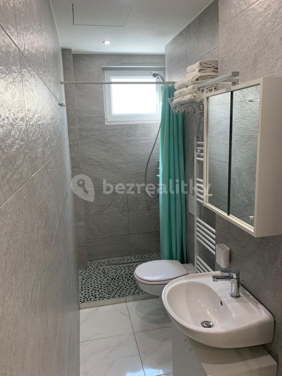 Pronájem bytu 2+kk 41 m², Svojsíkova, Praha, Praha Pronájem bytu 2+kk 41 m², Svojsíkova, Praha, Praha
