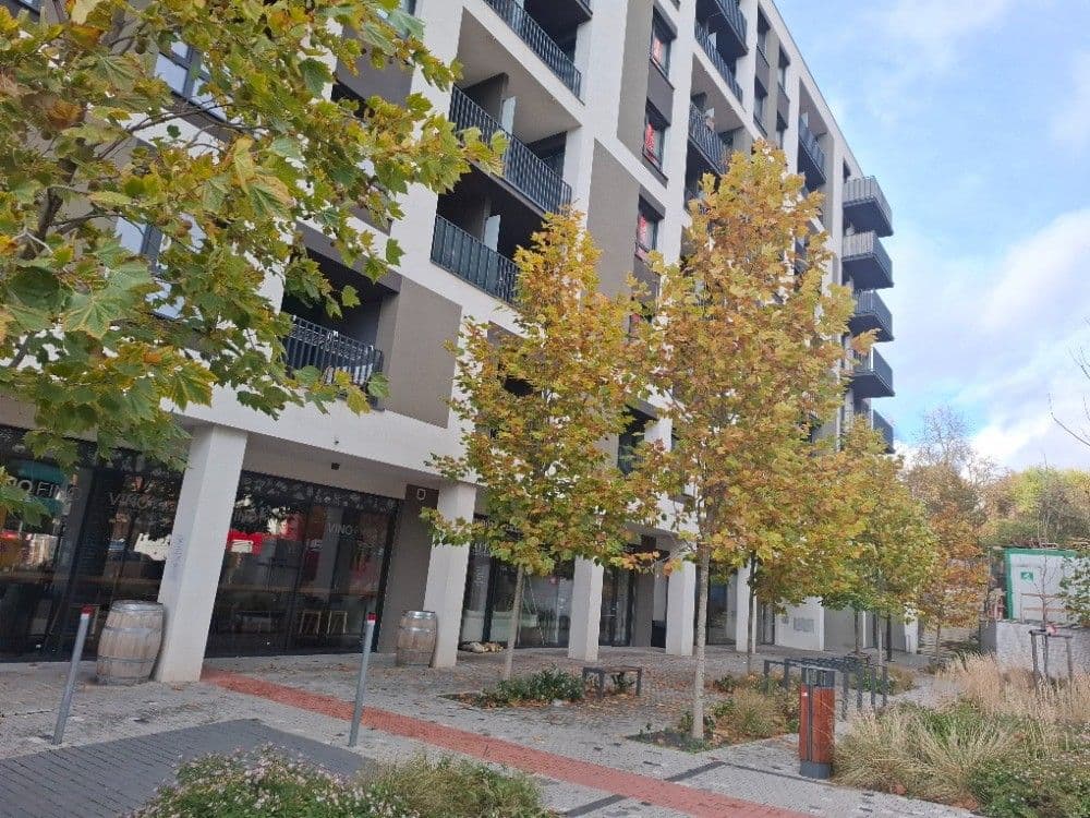 Pronájem bytu 3+kk 77 m², Olgy Havlové, Praha, Praha Pronájem bytu 3+kk 77 m², Olgy Havlové, Praha, Praha