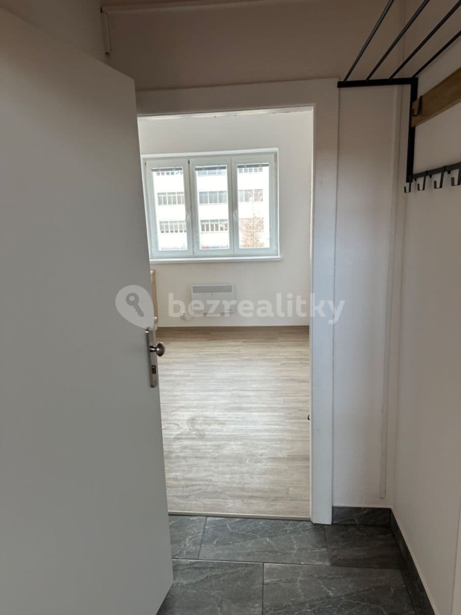 Pronájem bytu 1+kk 15 m², Náplavka, Brno, Jihomoravský kraj Pronájem bytu 1+kk 15 m², Náplavka, Brno, Jihomoravský kraj