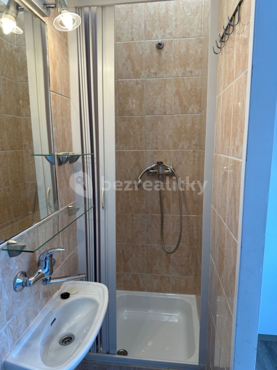 Pronájem bytu 1+kk 15 m², Náplavka, Brno, Jihomoravský kraj Pronájem bytu 1+kk 15 m², Náplavka, Brno, Jihomoravský kraj