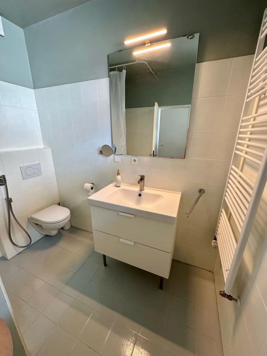 Pronájem bytu 1+kk 62 m², Novobohdalecká, Praha, Praha Pronájem bytu 1+kk 62 m², Novobohdalecká, Praha, Praha