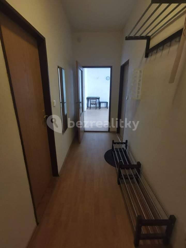 Pronájem bytu 2+kk 48 m², vlhká, Brno, Jihomoravský kraj Pronájem bytu 2+kk 48 m², vlhká, Brno, Jihomoravský kraj