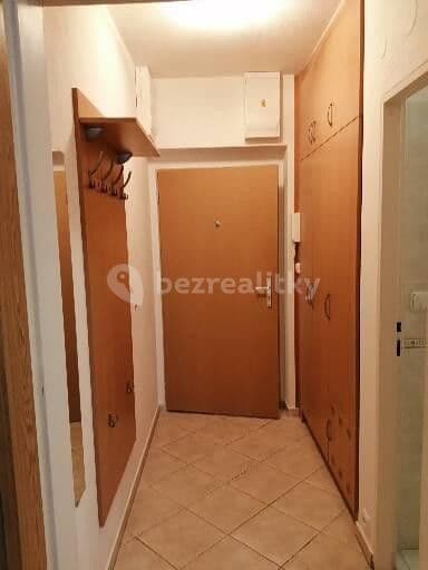 Pronájem bytu 1+kk 30 m², Zderadova, Brno, Jihomoravský kraj Pronájem bytu 1+kk 30 m², Zderadova, Brno, Jihomoravský kraj