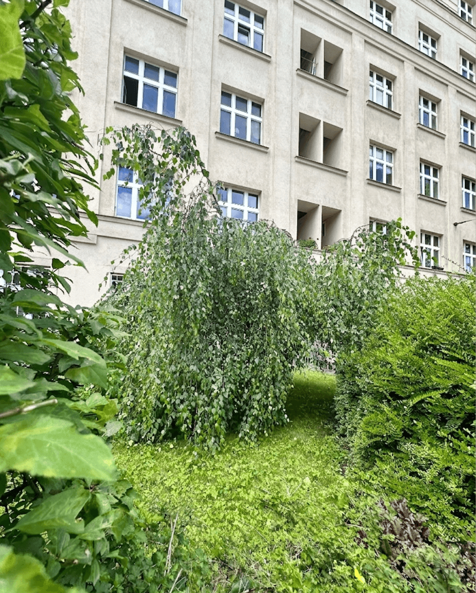Pronájem bytu 2+kk 48 m², Jičínská, Praha, Praha Pronájem bytu 2+kk 48 m², Jičínská, Praha, Praha