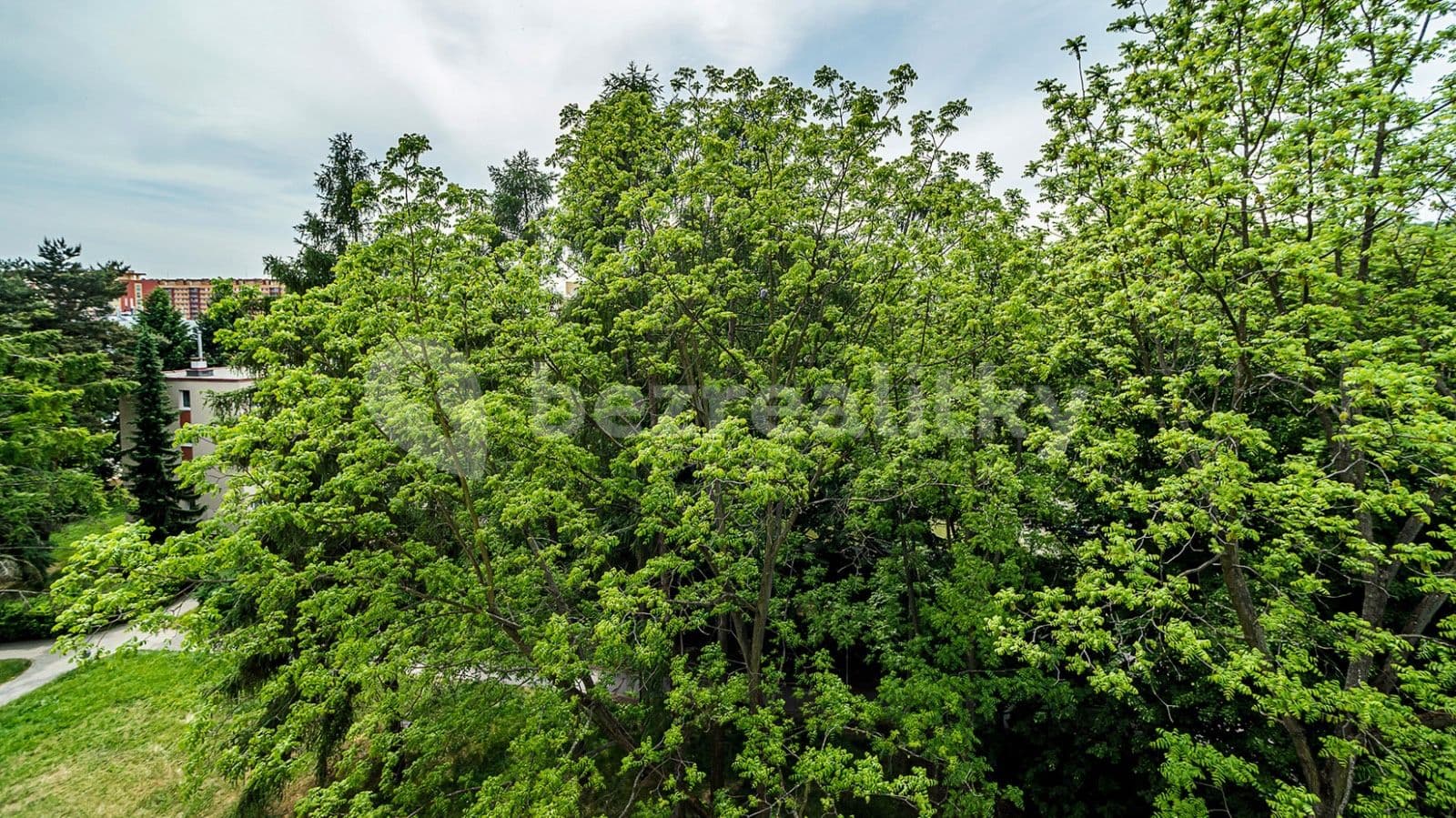 Pronájem bytu 2+kk 50 m², Kubíkova, Praha, Praha Pronájem bytu 2+kk 50 m², Kubíkova, Praha, Praha