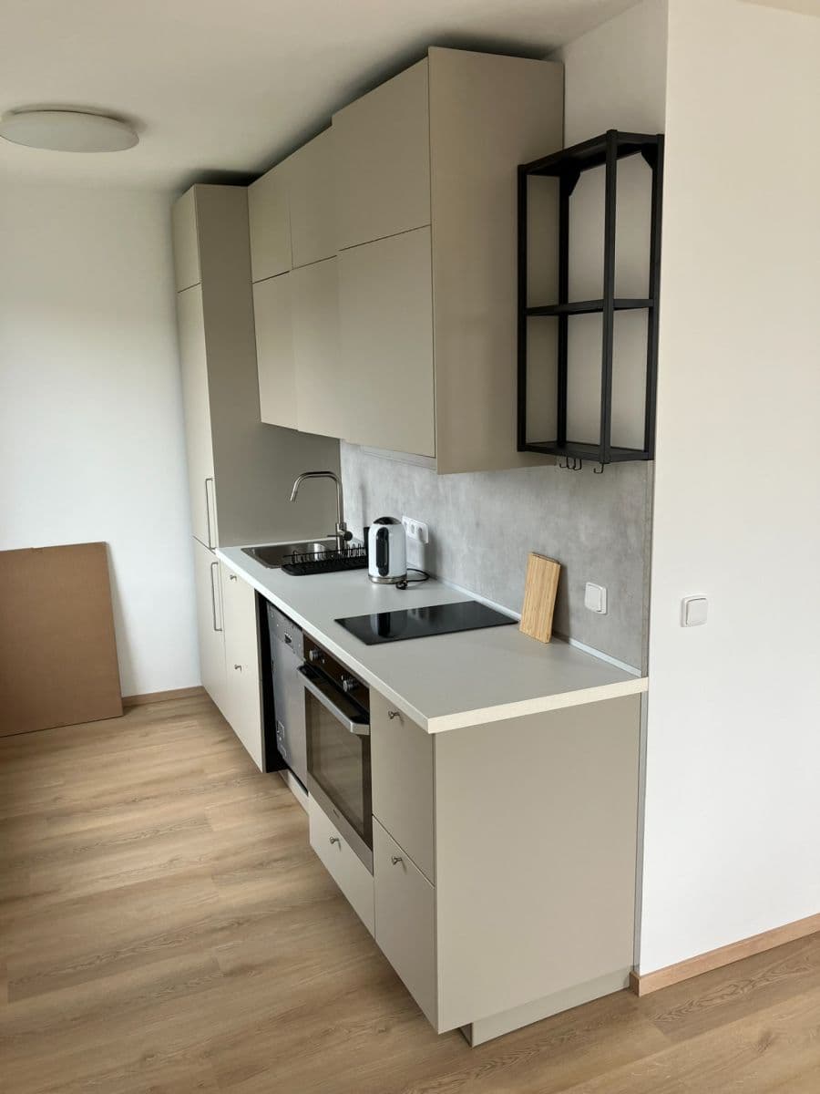 Pronájem bytu 2+kk 50 m², Kubíkova, Praha, Praha Pronájem bytu 2+kk 50 m², Kubíkova, Praha, Praha