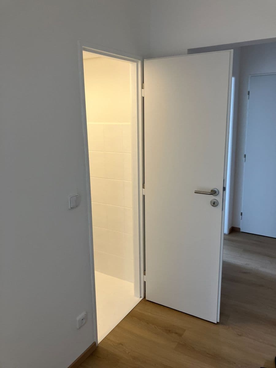Pronájem bytu 2+kk 50 m², Kubíkova, Praha, Praha Pronájem bytu 2+kk 50 m², Kubíkova, Praha, Praha