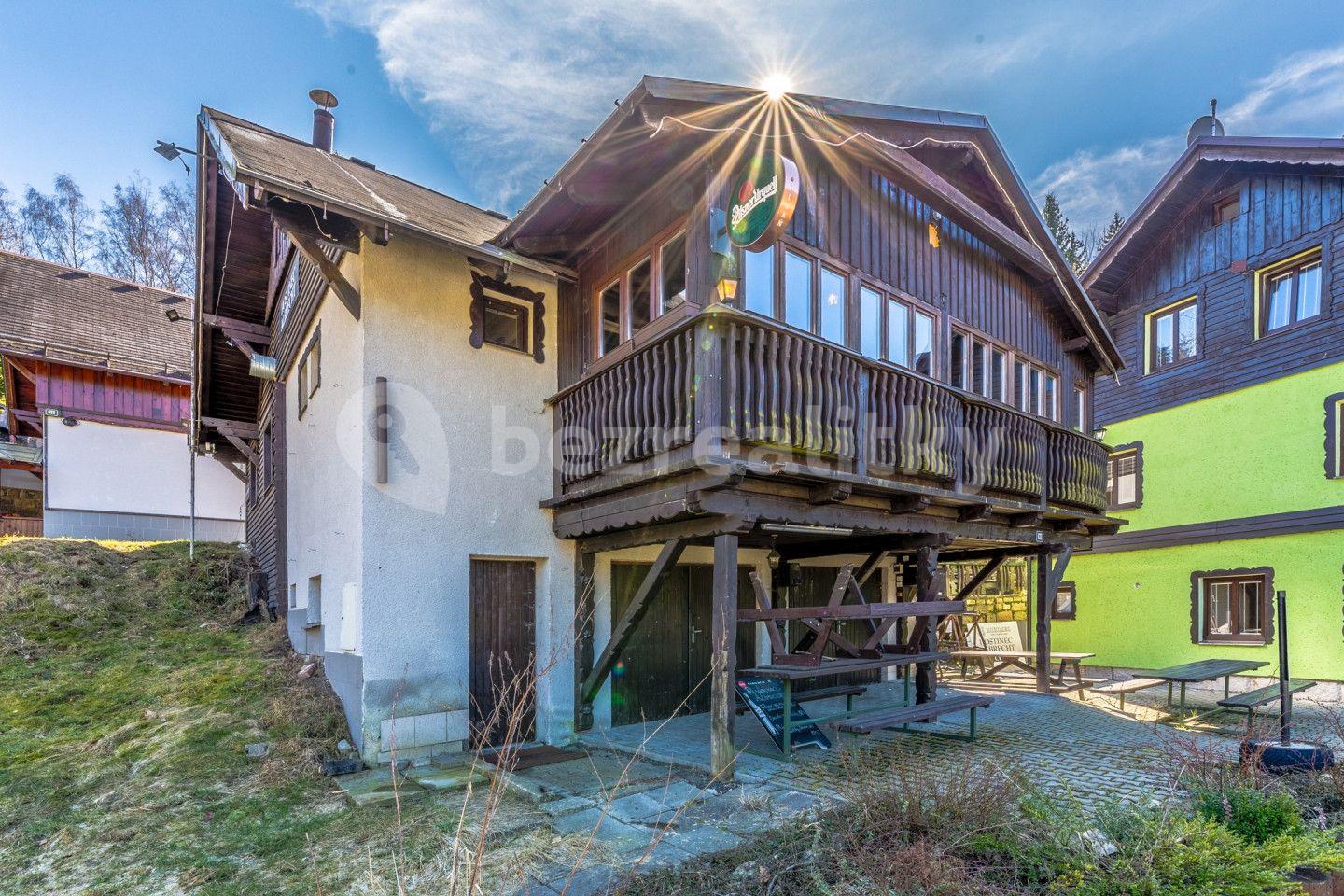 Prodej nebytového prostoru 185 m², Údolí Kamenice, Tanvald, Liberecký kraj