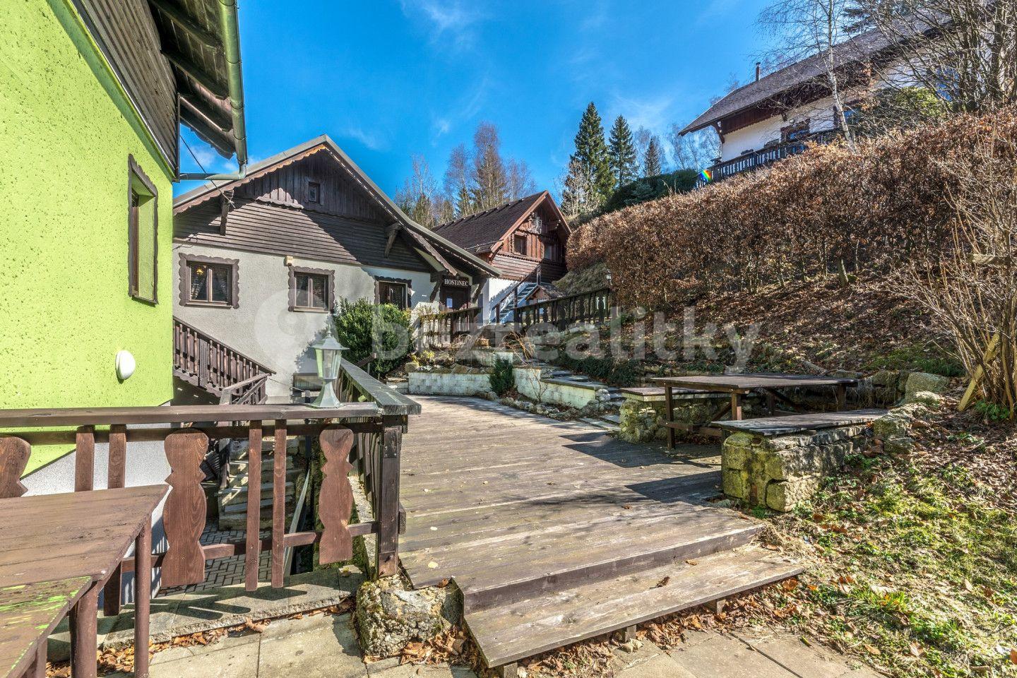 Prodej nebytového prostoru 185 m², Údolí Kamenice, Tanvald, Liberecký kraj