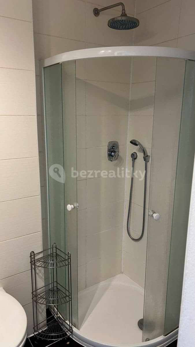 Pronájem bytu Garsoniéra 18 m², Grünwaldova, České Budějovice, Jihočeský kraj Pronájem bytu Garsoniéra 18 m², Grünwaldova, České Budějovice, Jihočeský kraj