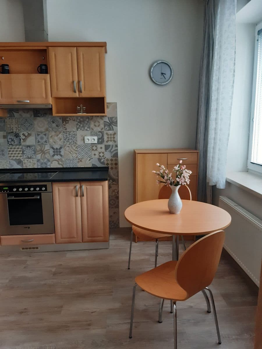 Pronájem bytu 1+1 50 m², Hrozňatova, Brno, Jihomoravský kraj Pronájem bytu 1+1 50 m², Hrozňatova, Brno, Jihomoravský kraj