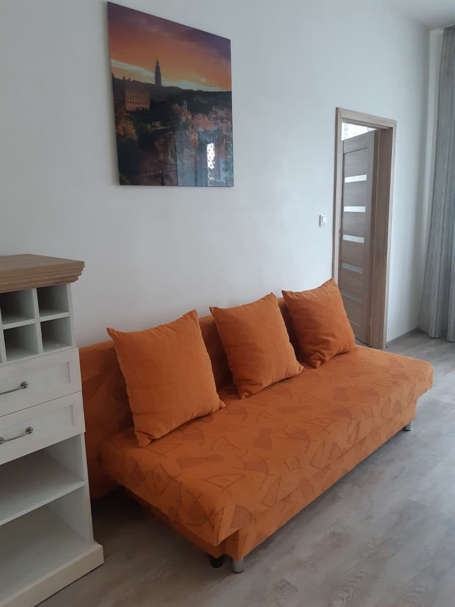 Pronájem bytu 1+1 50 m², Hrozňatova, Brno, Jihomoravský kraj Pronájem bytu 1+1 50 m², Hrozňatova, Brno, Jihomoravský kraj