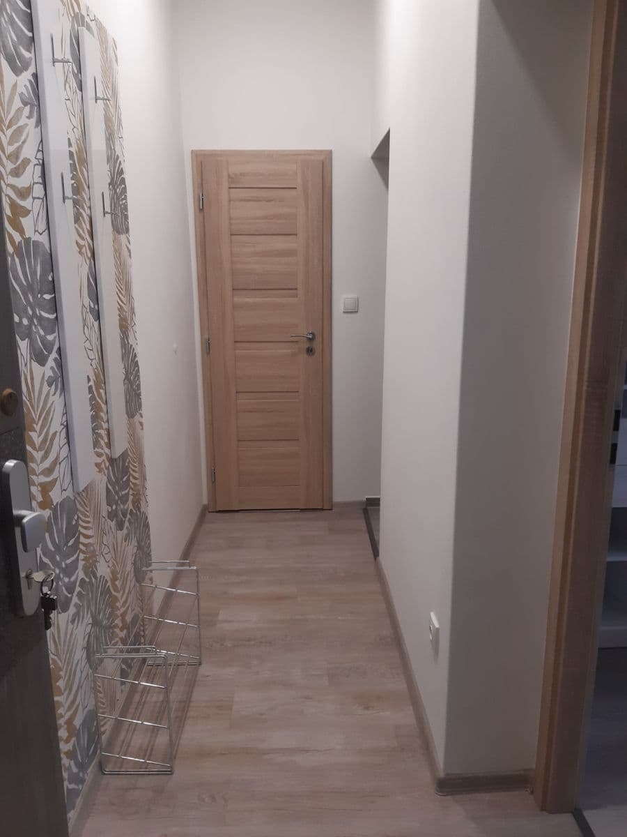 Pronájem bytu 1+1 50 m², Hrozňatova, Brno, Jihomoravský kraj Pronájem bytu 1+1 50 m², Hrozňatova, Brno, Jihomoravský kraj