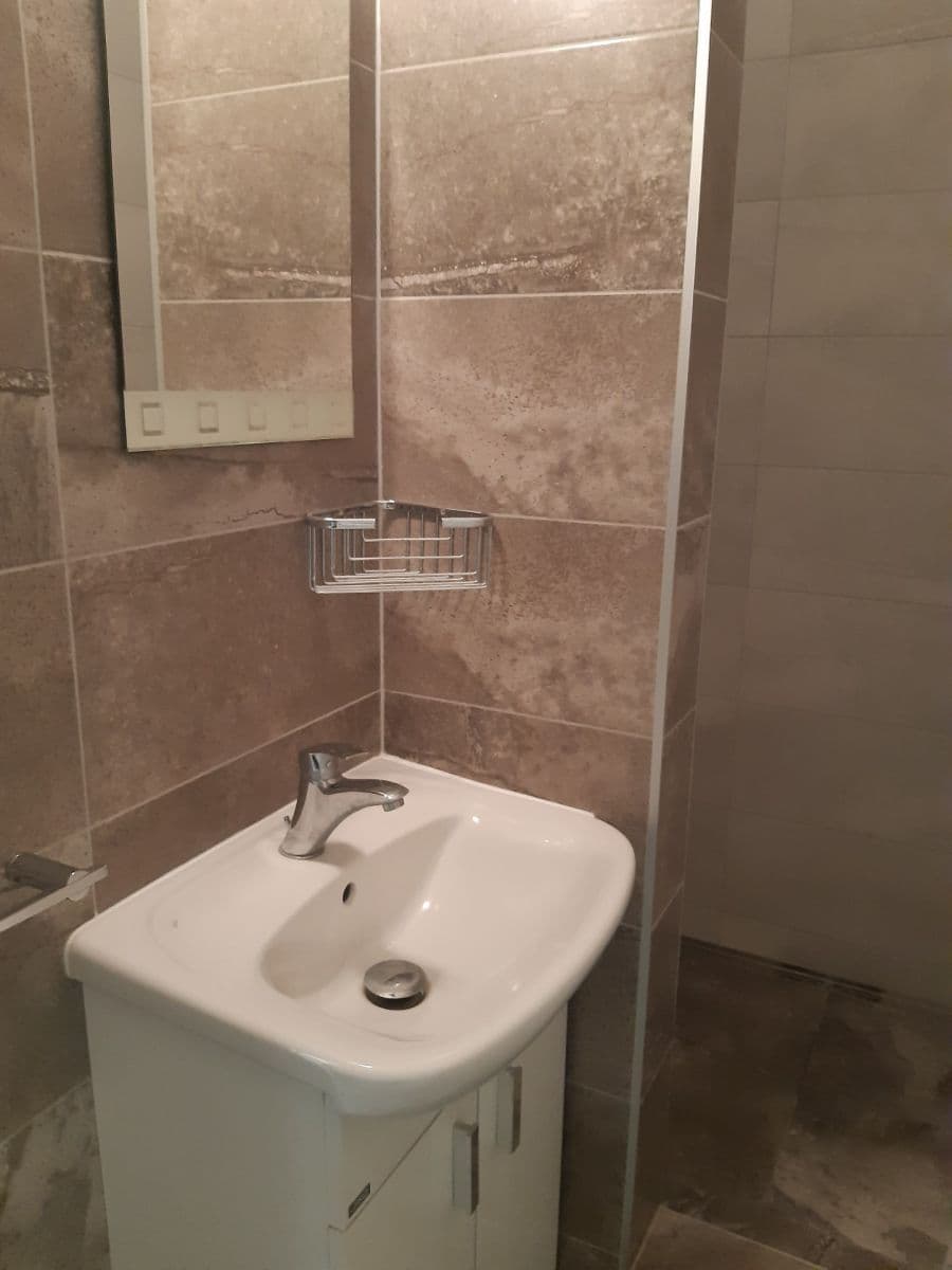 Pronájem bytu 1+1 50 m², Hrozňatova, Brno, Jihomoravský kraj Pronájem bytu 1+1 50 m², Hrozňatova, Brno, Jihomoravský kraj