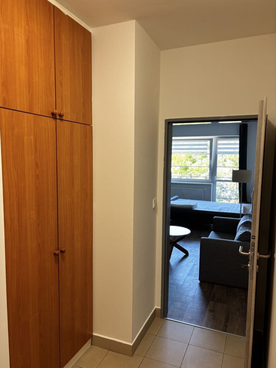 Pronájem bytu 1+kk 40 m², Jeronýmova, Liberec, Liberecký kraj Pronájem bytu 1+kk 40 m², Jeronýmova, Liberec, Liberecký kraj