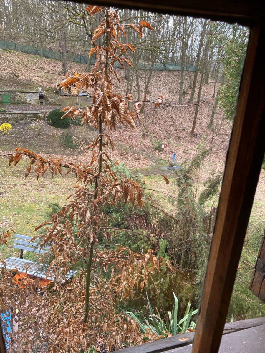 Prodej chaty, chalupy 28 m², pozemek 28 m², Mníšek pod Brdy, Středočeský kraj Prodej chaty, chalupy 28 m², pozemek 28 m², Mníšek pod Brdy, Středočeský kraj